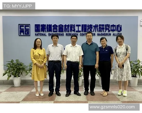 南京羽毛球队整体压制表现分析及其得失影响探讨