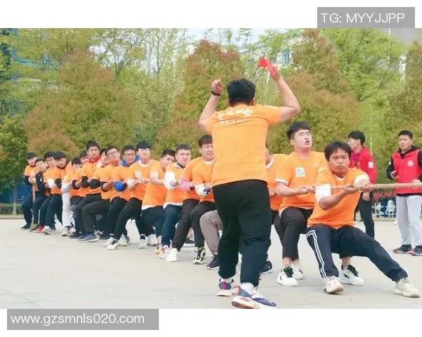 南京乒乓球队大满贯赛事中的团队协作展现与精彩点评 南京乒乓球队大满贯赛事中的团队协作展现与精彩点评