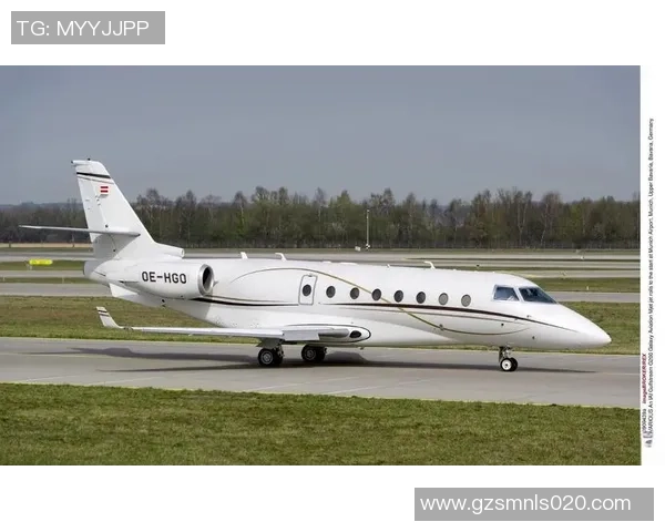 足球明星乘坐私人飞机失踪引发全球关注与担忧的最新消息