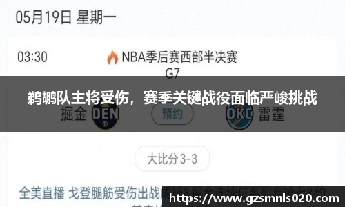 鹈鹕队主将受伤，赛季关键战役面临严峻挑战